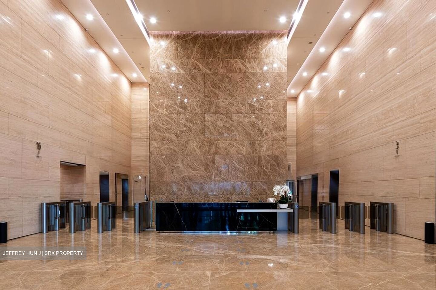 PLUS (D1), Office #501078431